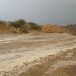 الأفق الالكترونية ترصد أمطار الخير على قرية أخفة بمركز جمعة ربيعة