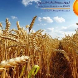 أمر ملكي بتقديم اختبارات الفصل الدراسي الثاني لتبدأ في 10 رمضان