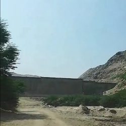 رئيس الجمعيات التعاونية لـ”المستهلك”لا تغيير في أسعار الدواجن وإعانة الأعلاف تحولت للمنتج النهائي