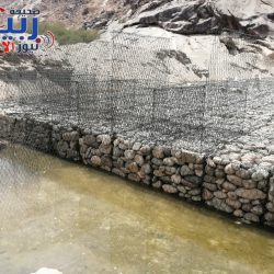 الأحوال المدنية: إيقاف تجديد الهوية الوطنية حتى عودة عمل المكاتب