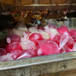 سليمان الربعي يحصل على شهادة البكالوريوس في ادارة الاعمال