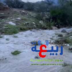 ال‏تحالف  : اعتراض وتدمير طائرة بدون طيار “مفخخة” باتجاه المملكة