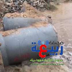 وزارة البيئة والمياه والزراعة تدعو مستفيدي دعم المواشي لتحديث بياناتهم