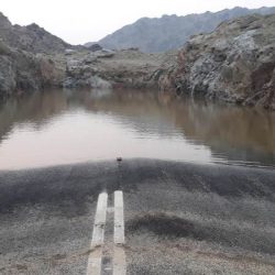 ربيعة نيوز تهنئ القيادة بمناسبة ذكرى اليوم الوطني 90