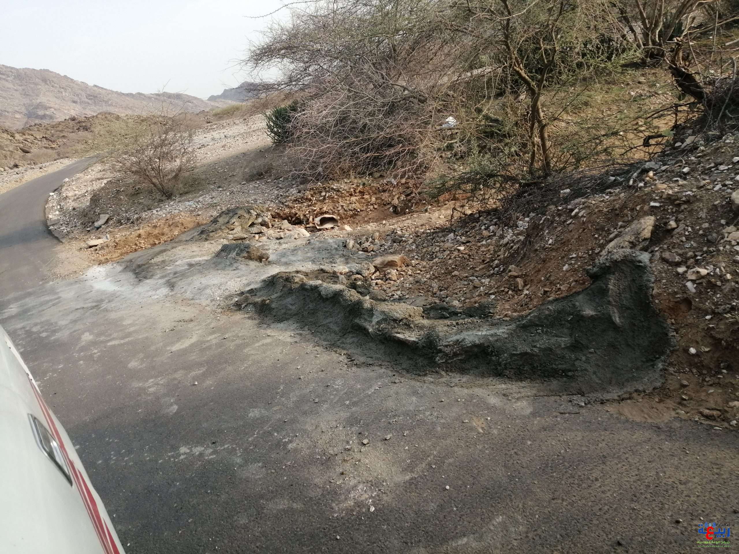 IMG 20200904 170918 scaled