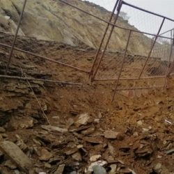 في بارق أبناء يتبرعون بمحصول مزرعتهم لوالدهم المتوفي