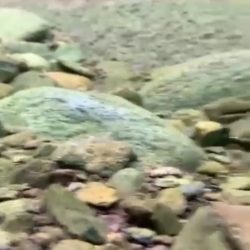 الملازم أول ” عبدالله الشهري ” لنقيب بشرطة ثلوث المنظر 