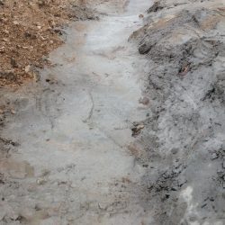 الشاب. أحمد غرم الله الجامدي يخترع جهاز التعقيم الآلي