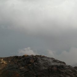 الكأس الأغلى بين نصر وهلال