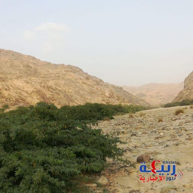 رئيس مركز جمعة ربيعة ومدير مكتب الخدمات البلدية يكرمان مقيمين بعد قيامهما بعمل تطوعي أثناء هطول الأمطار