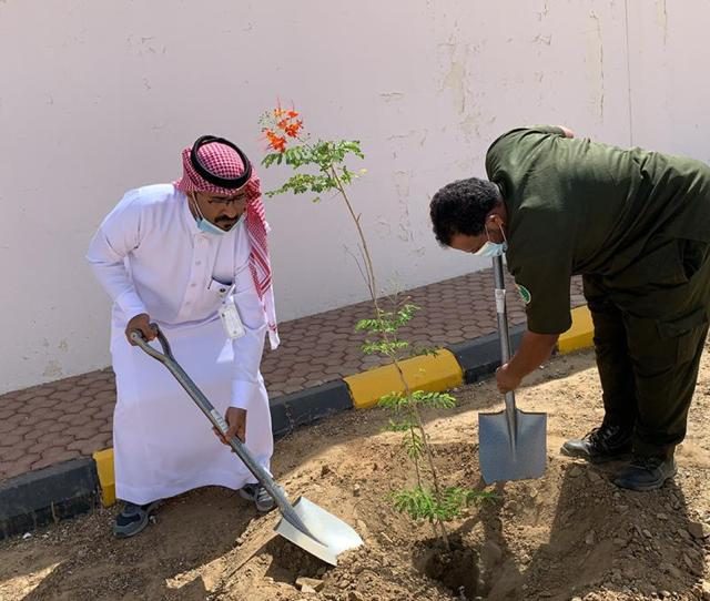 تعرف على مميزات الهوية الرقمية وطريقة تفعيلها عبر ابشر