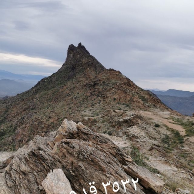 أمير عسير يوجه بإيقاع عقوبة “غرامة مالية” بحق شركة ومواطنين تسببوا في الإضرار بالغطاء النباتي