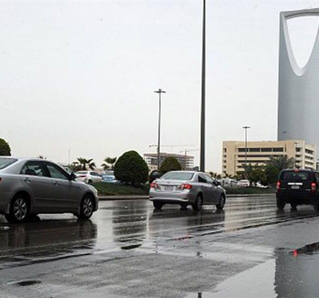 أمير عسير يوجه بإيقاع عقوبة “غرامة مالية” بحق شركة ومواطنين تسببوا في الإضرار بالغطاء النباتي