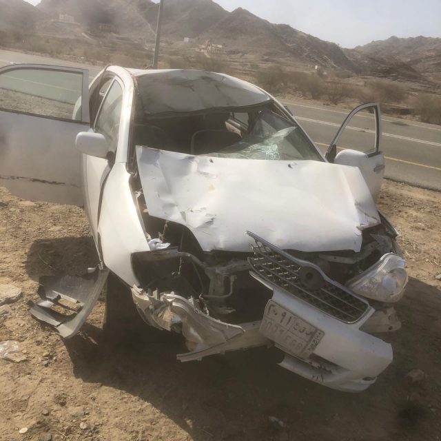 قطيع من الإبل السائبة يتسبب بحادث مروري بطريق قفيلة