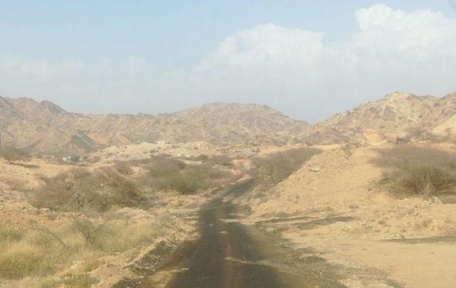 الليلة الأخضر في مواجهة اليمن