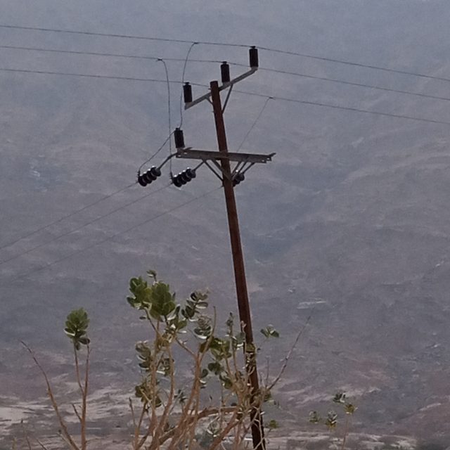 في هذا العام احتفلت المملكة باليوم الوطني للمرة الأولى’