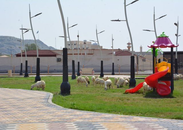 الموارد_البشرية ” توضح طريقة إثبات السكن الملك والإيجار لمستفيدي الضمان