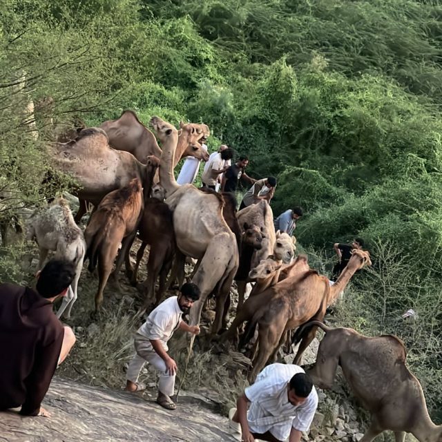 رئيس مركز جمعة ربيعة ومدير مكتب الخدمات يقفان على متطلبات الأهالي بشرق ربيعة المقاطرة