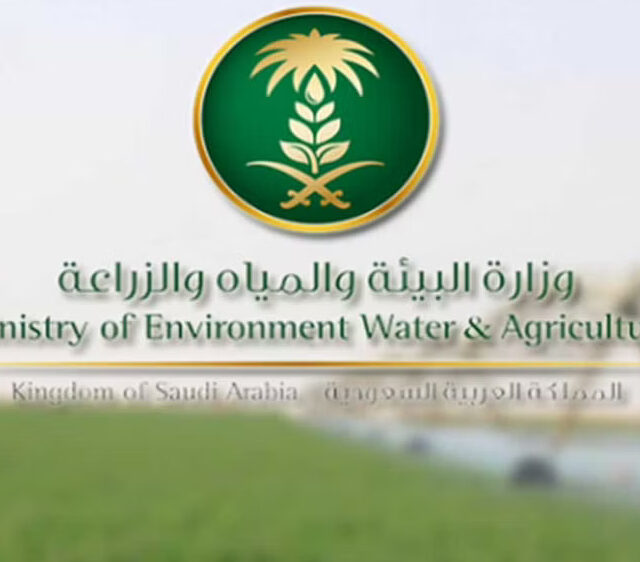 طريق سهول الشرقي_ الحرف جمعة ربيعة 10سنوات من التوقف