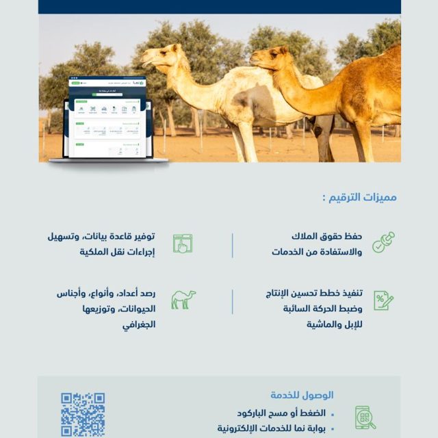 الشاب. احمد بن عيسى أحمد يحتفل بمناسبة زفافه