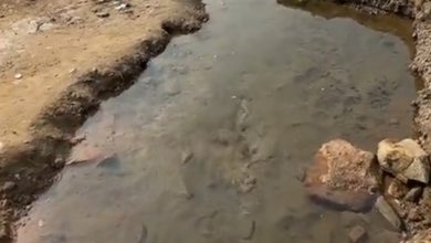 إدراج العين الحارة الجديدة بثربان ضمن مشروع دراسات العيون المائية 2 Screenshot ٢٠٢٤١١٢٤ ١٥٠٦٥٠ TikTok 1