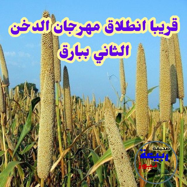 بالصورمخطط جمعية ربيعة المقاطرة ينتظر السفلتة والإنارة