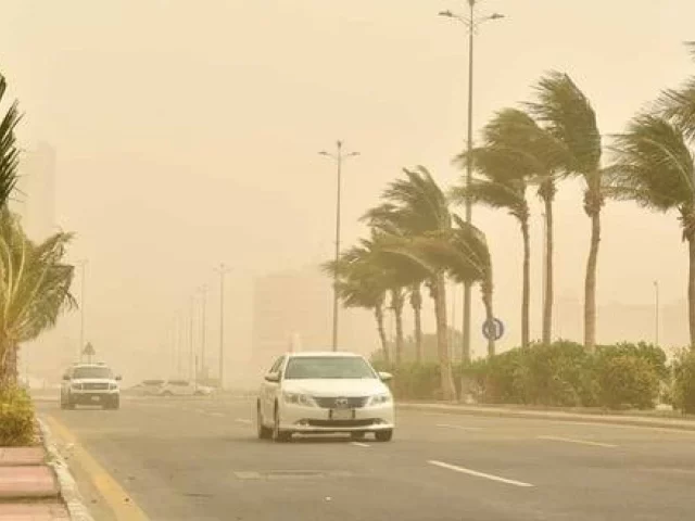 بقلم الشريف. شكرآ لكم جميعاً