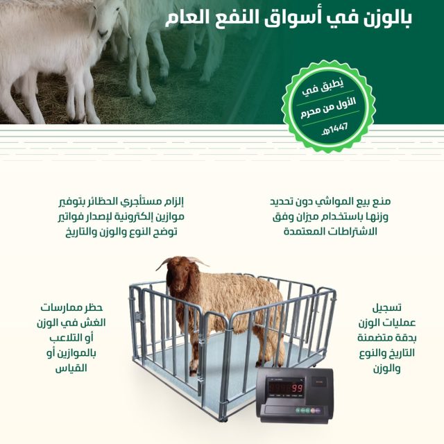 عاجل .الإنتهاء من الربط الكهربائي لقرى شرق ربيعة بكهرباء بارق