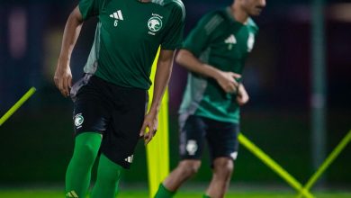 saffnewsLNIdj1762197723