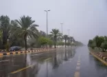 الأرصاد. هطول أمطار على عدد من المناطق