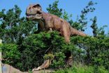الديناصورات لم تكن من ذوات "الدم الحار أو البارد"