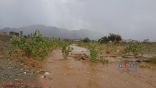 هطول أمطار من غزيرة إلی متوسطة علی بارق عصر اليوم.صور.