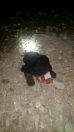 بالصور الدفاع المدني ينتشل جثة وافد بعد غرقة بوادي سران